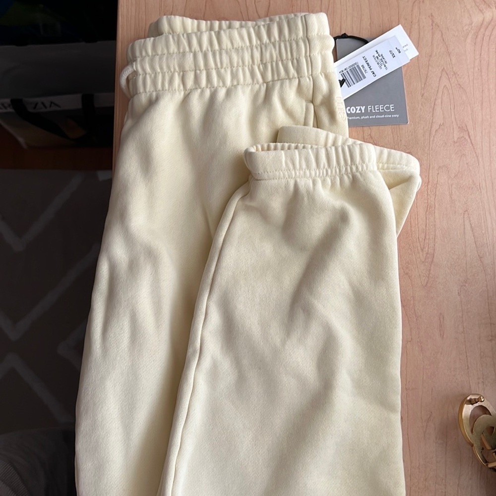 Aritzia Tna Cozy Fleece Perfect Sweatpants
